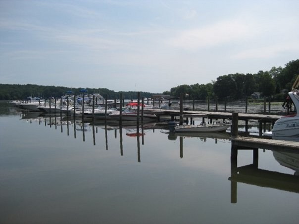 Willow Landing Marina