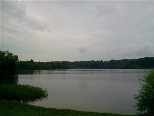 Curtis Lake