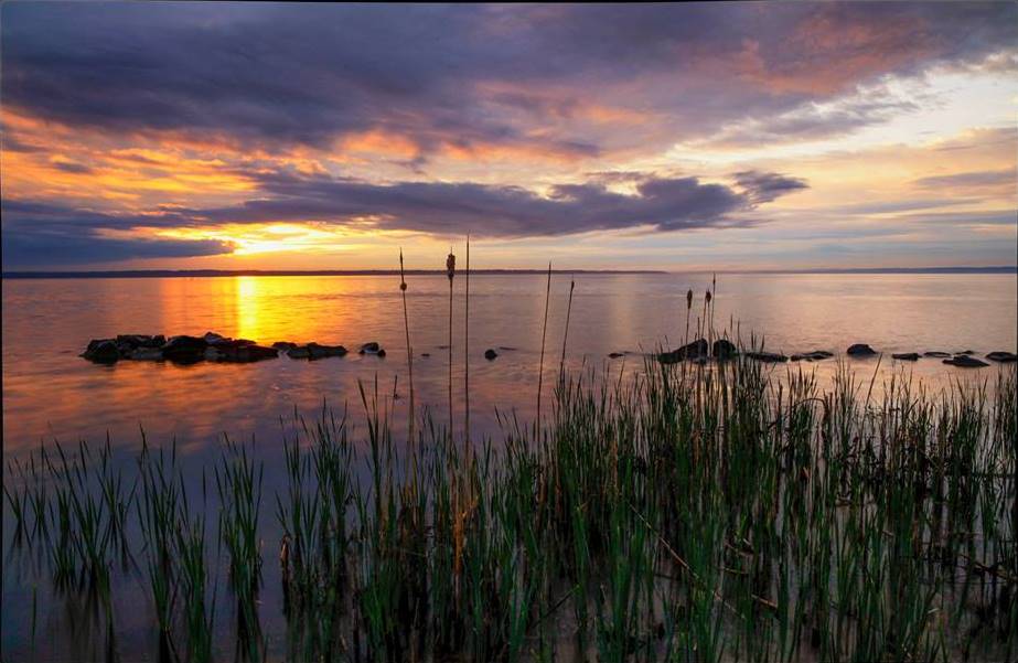 Aquia Landing Park