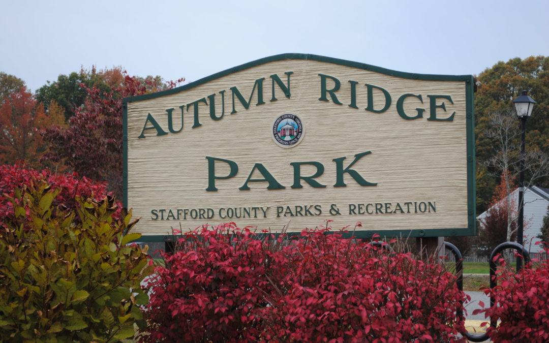 Autumn Ridge Park