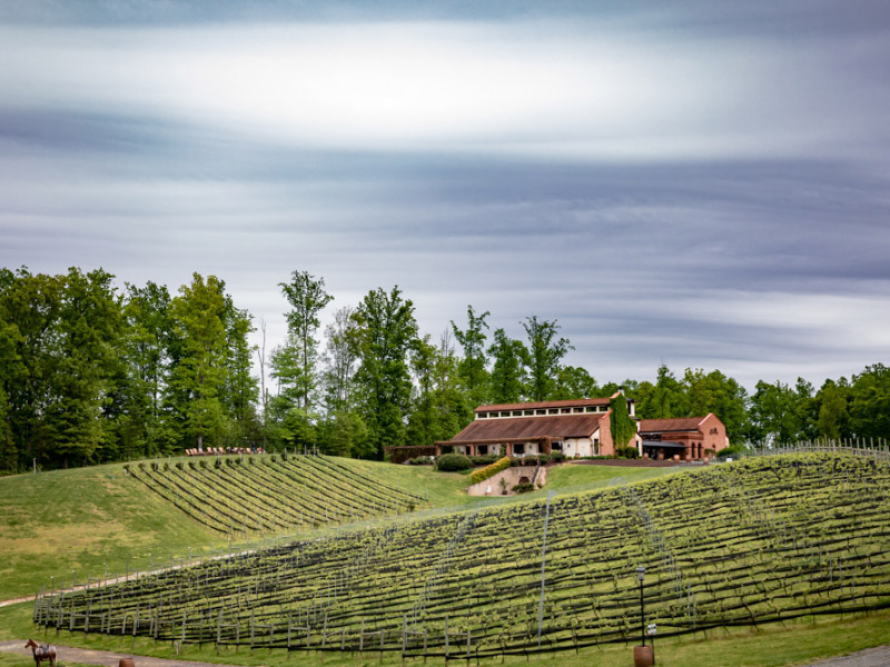 vineyards and tasting room at Potomac Point Winery