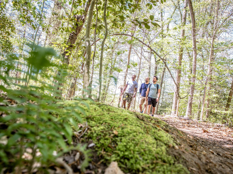 three guys walking on a trail in the woods