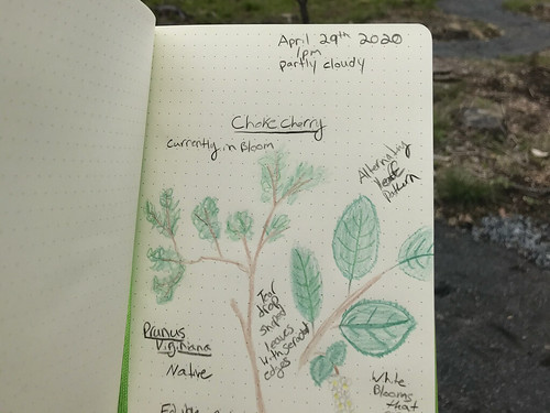 Nature Journaling at Widewater State Park