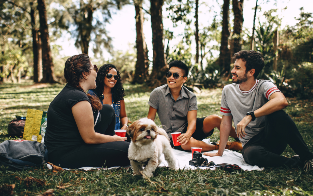 Discover the Perfect Picnic Spots in Stafford County