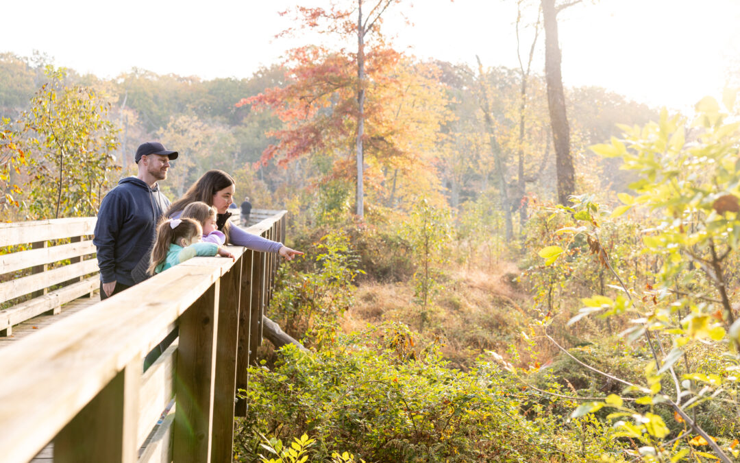 Where to Wander This Fall in Stafford
