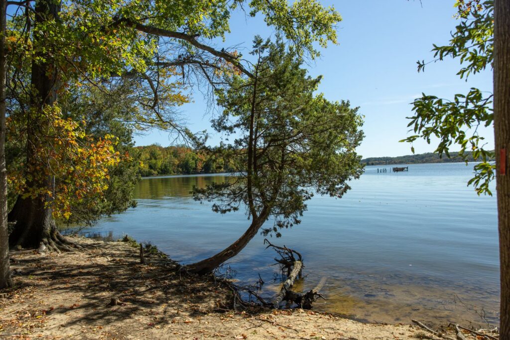 Spring Jubilee at Widewater State Park