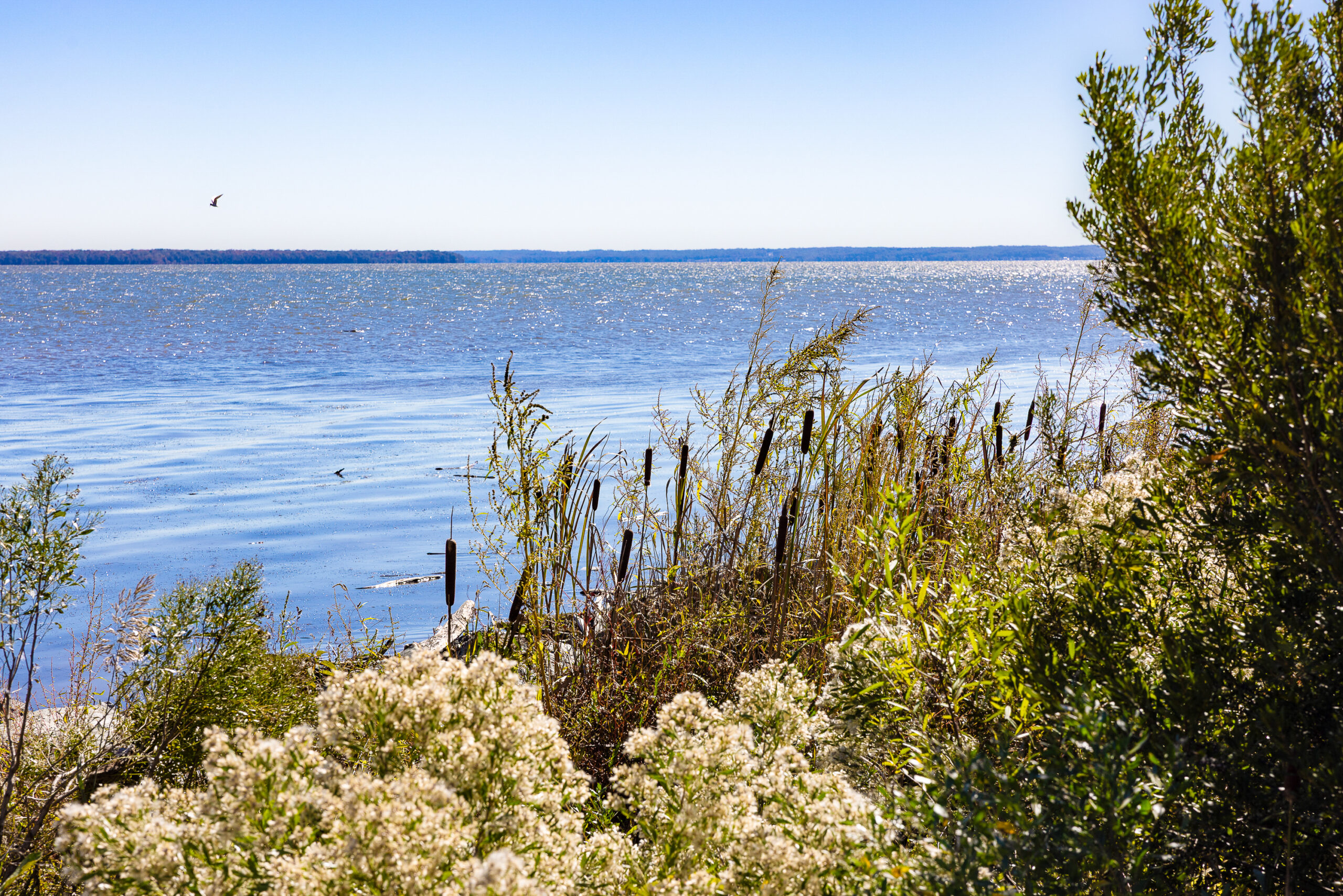 widewater state park