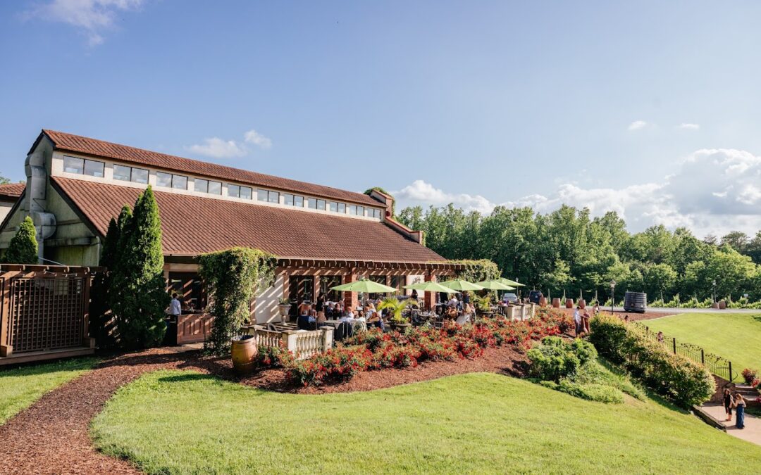 Patio Season in Stafford: Where to Sip, Savor, and Soak it All In