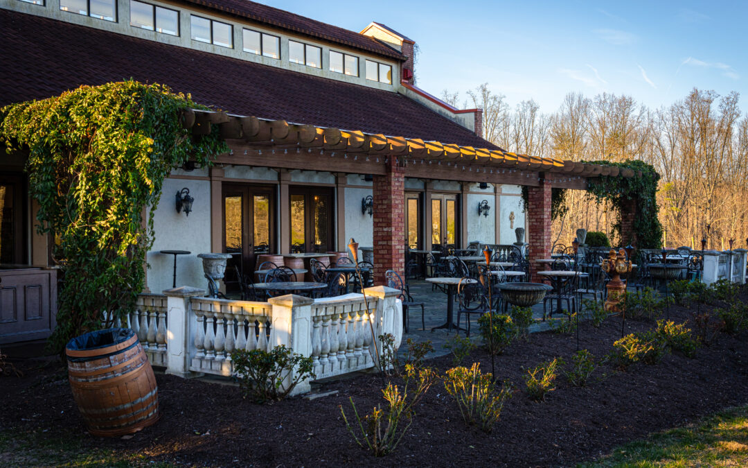 Patio Season in Stafford: Where to Sip, Savor, and Soak it All In