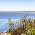 widewater state park