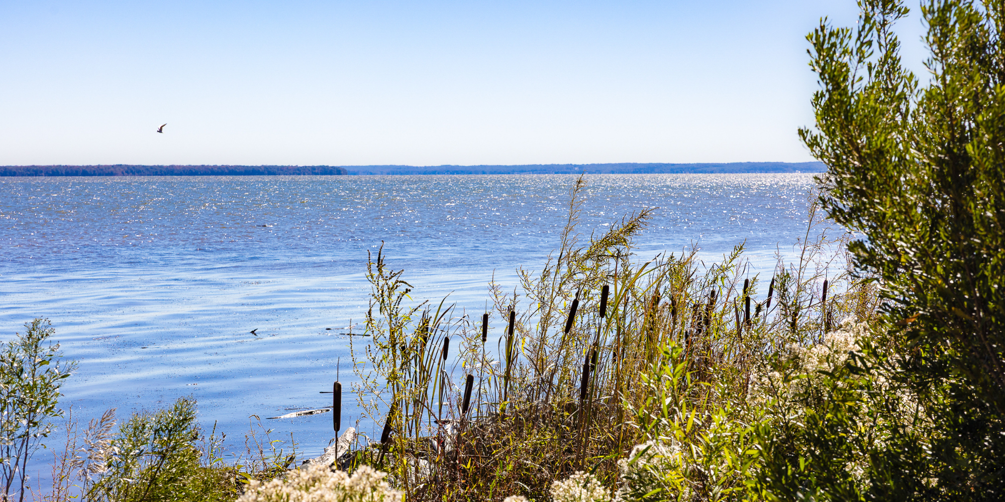 widewater state park