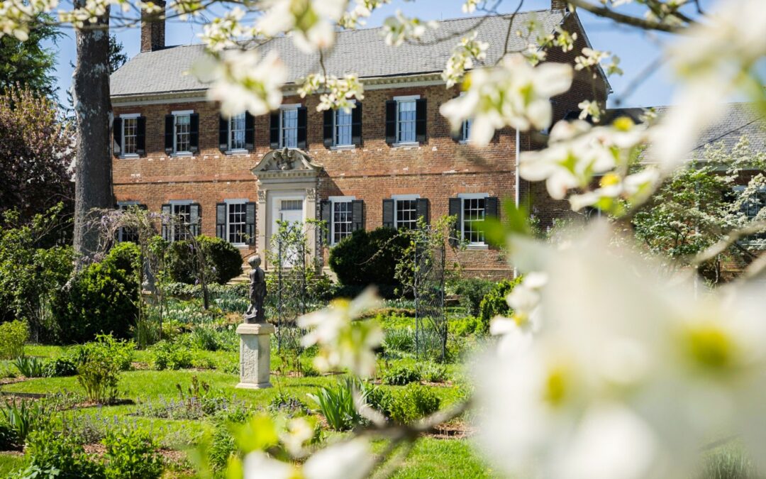 Where to See Stafford Bloom