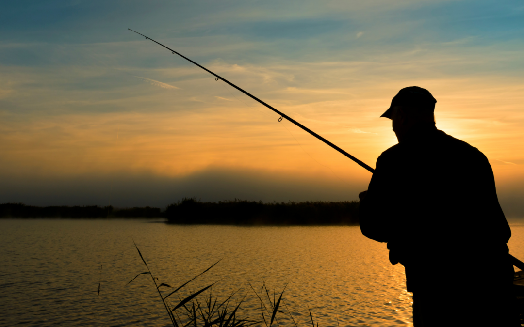 Cast Away in Stafford, Virginia: Discover the Best Fishing Spots in the Region