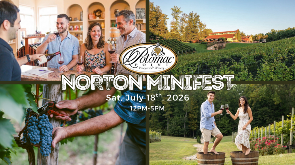 Norton Mini-Fest & Grape Stomping