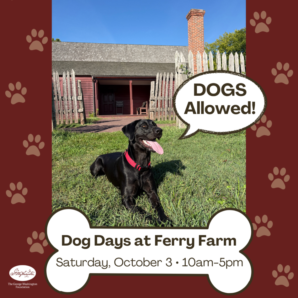 Dog Days at Ferry Farm