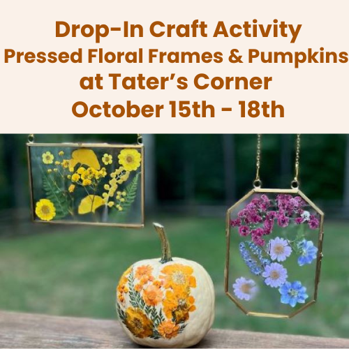 DIY Drop-In Craft at Tater’s Corner – Pressed Floral Frames & Pumpkins
